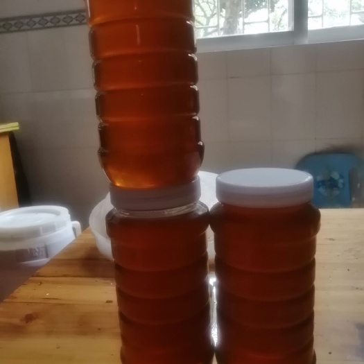 平南县荔枝蜜  广西土蜂蜜，龙眼荔枝龙眼中蜂蜜，因今年大丰收所以便宜卖