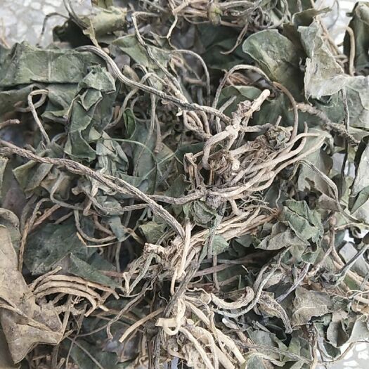 保康县马细辛，细辛根叶一起统货