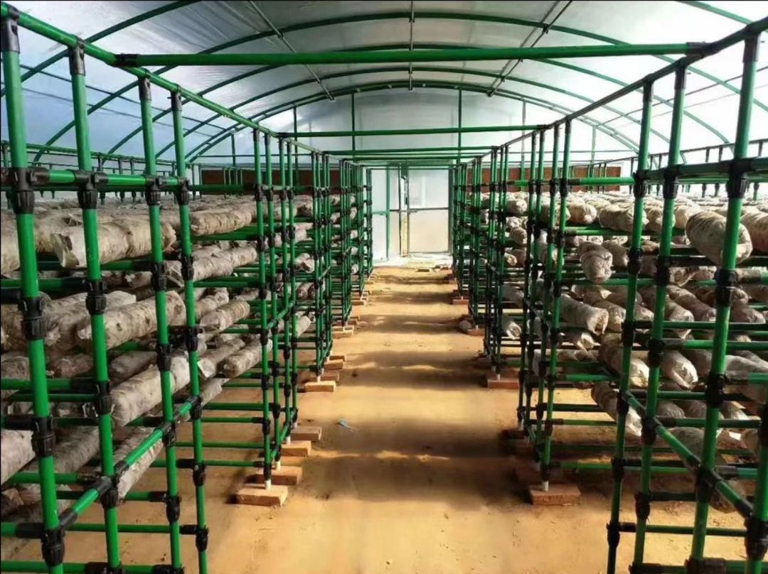 天津种植大棚  食用菌大棚 蘑菇棚  菌架   根据尺寸可定制