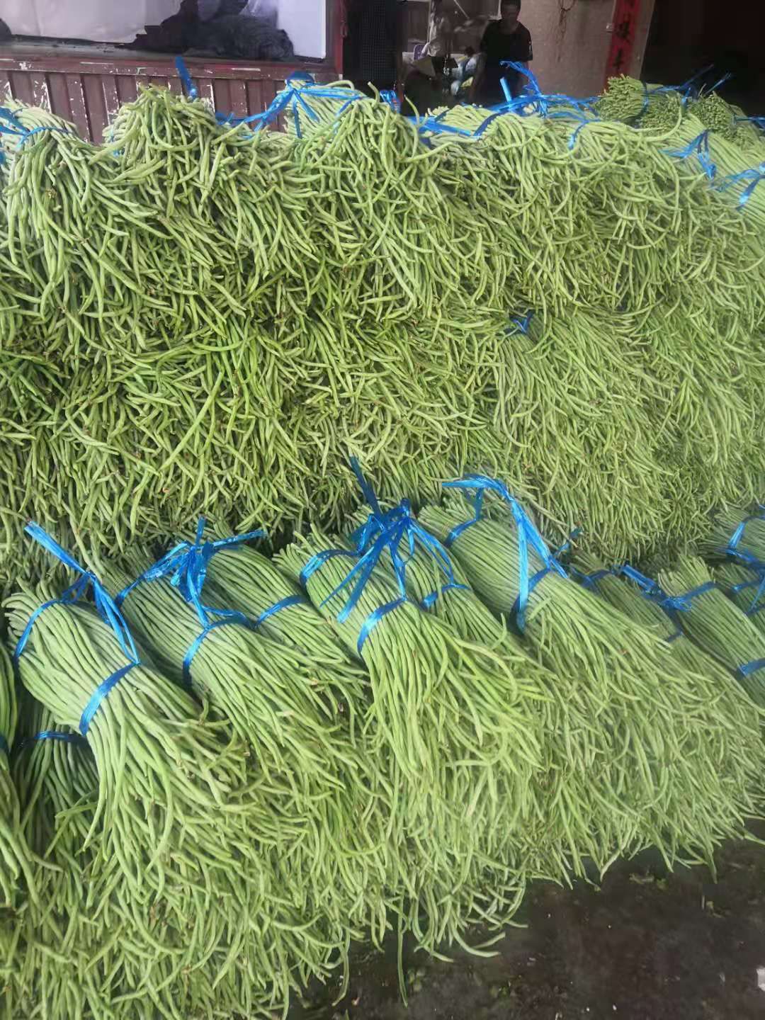 长豇豆 广西合浦豆角
