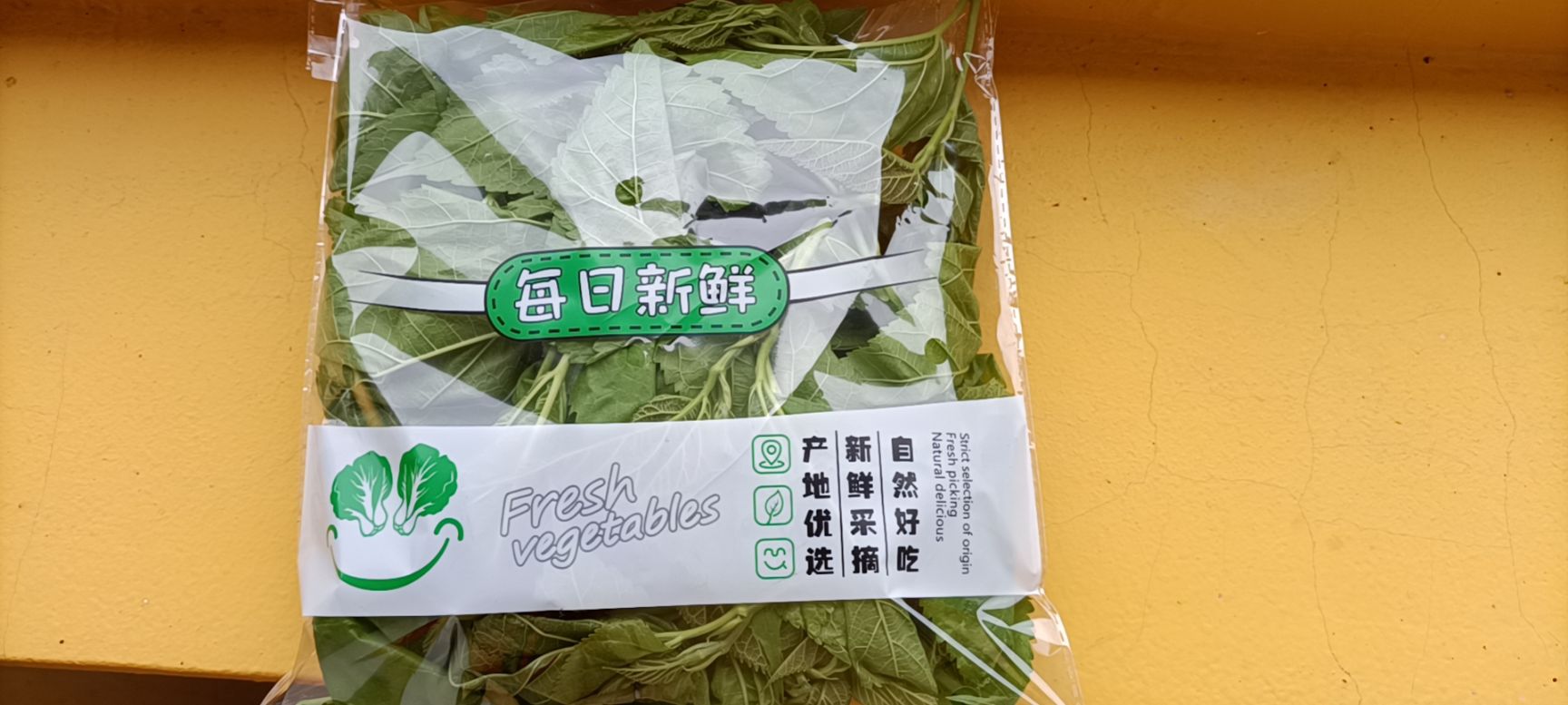 阳山县山泉水种植桑芽菜！可煲汤。可做茶，新鲜采摘，当天发货