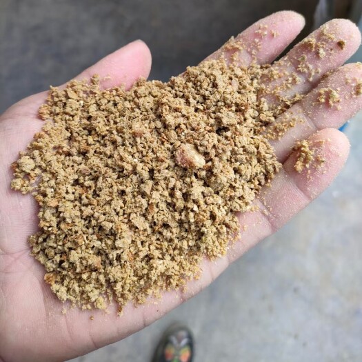 临清市豆面 膨化大豆粉，蛋白26脂肪12