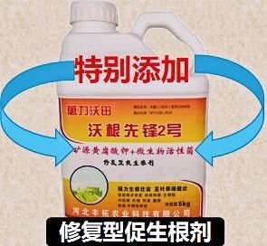 晋州市螯合肥料 沃根先锋二号 修复型促生根剂