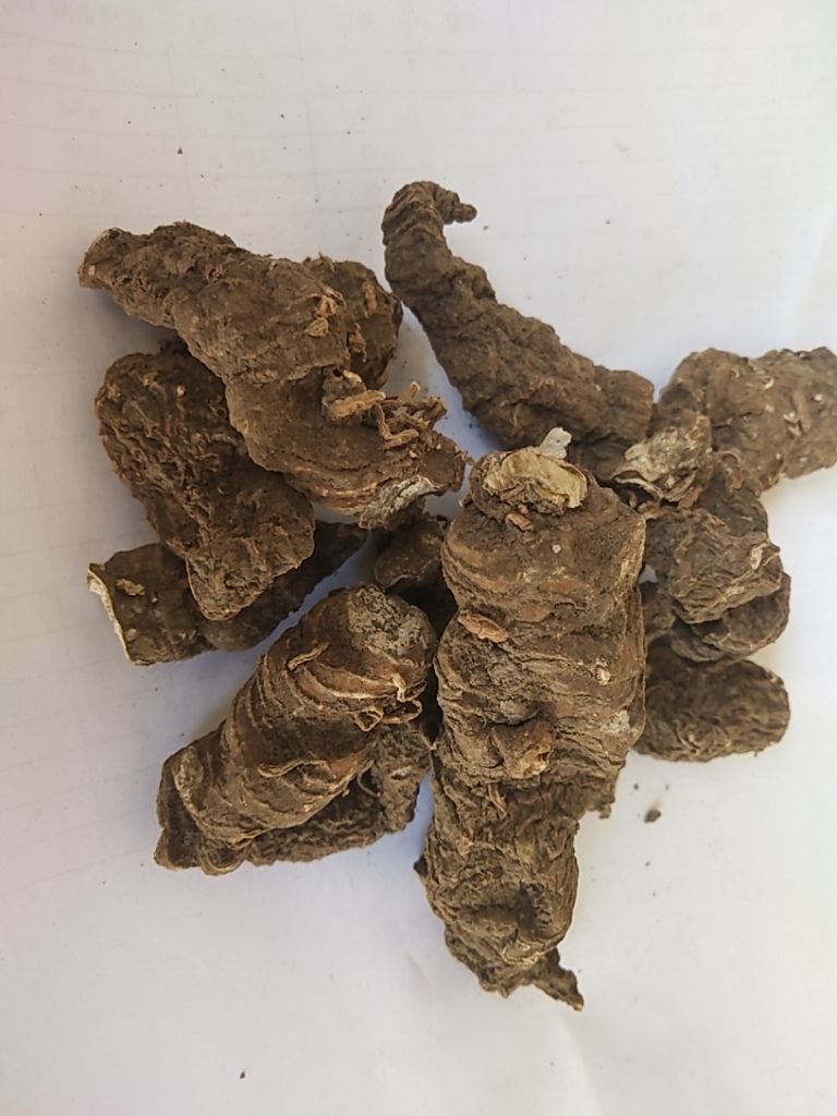 湖北重楼，七叶一枝花干品，货真价实