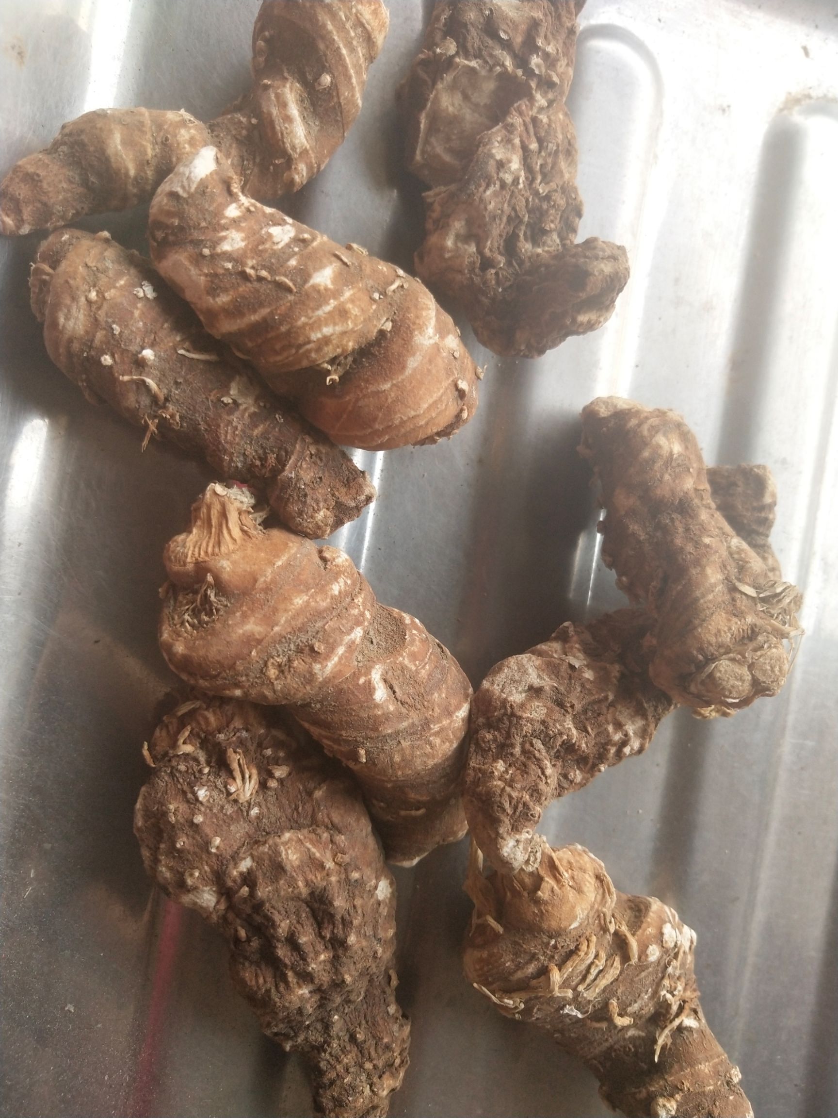 湖北重楼，七叶一枝花干品，货真价实