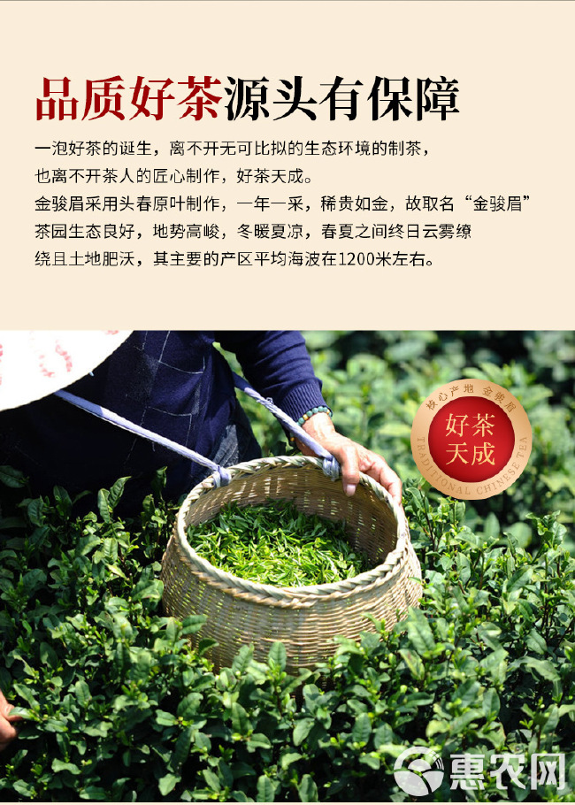 过节送礼武夷山金骏眉红茶茶叶礼盒新茶两罐共500g配手提袋