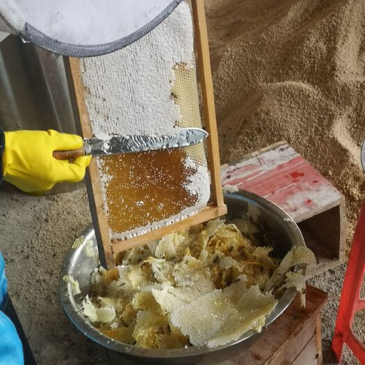 广州荔枝蜜 蜂蜜