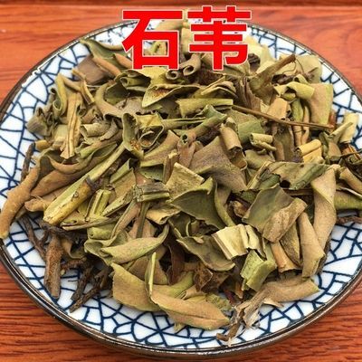 安国市小叶石韦 含量高 量大从优