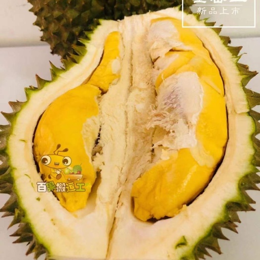 咸阳 只售泰国果园榴莲，品种丰富，！国内超市没有！玛雅等