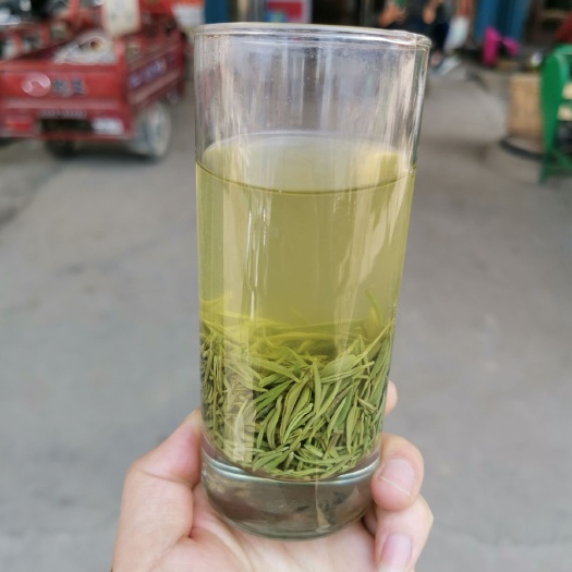 信阳毛尖茶  信阳毛尖雨前芽茶