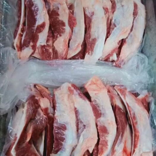 猪骨头  月牙骨