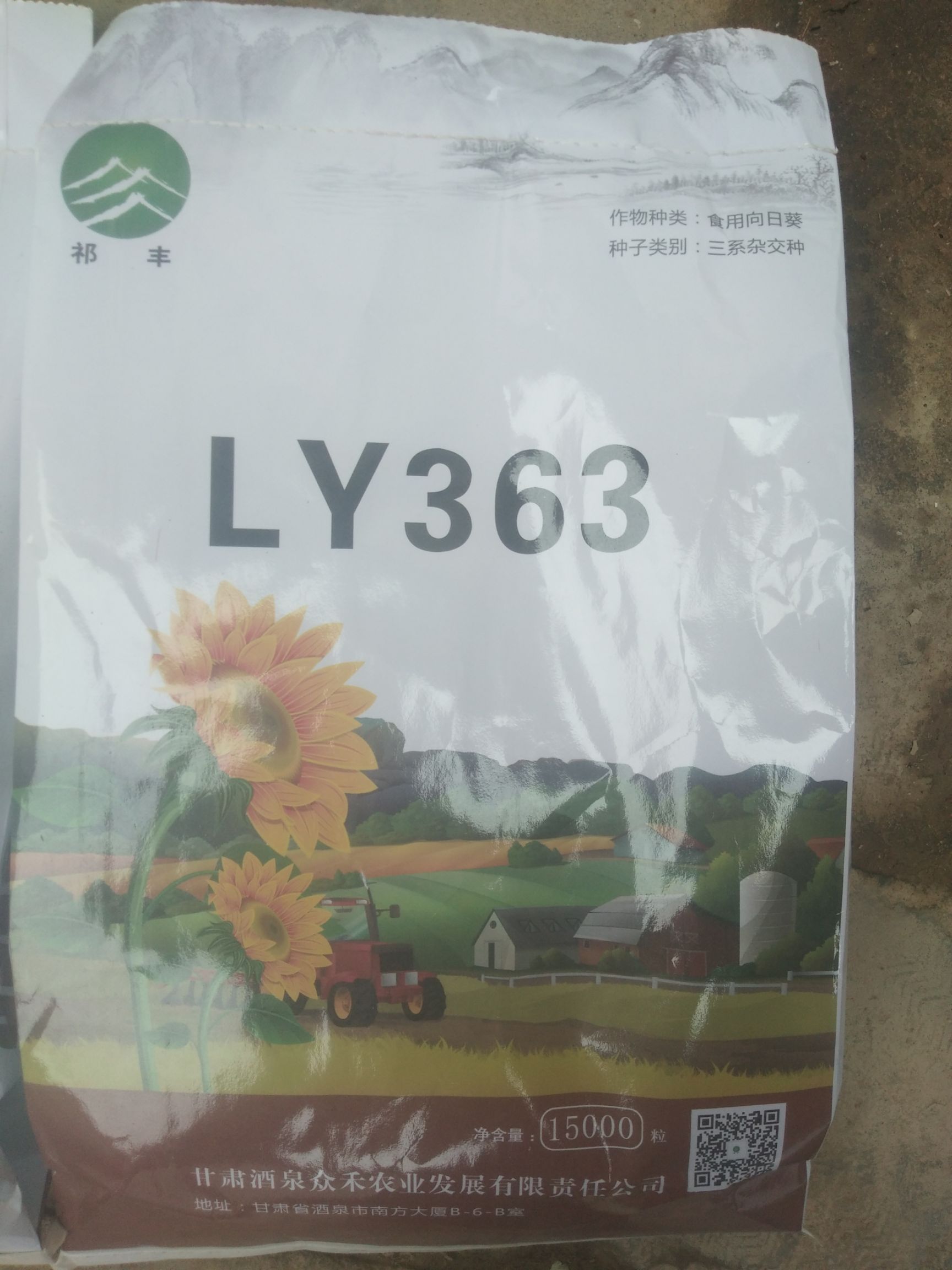 向日葵种子 葵花种子