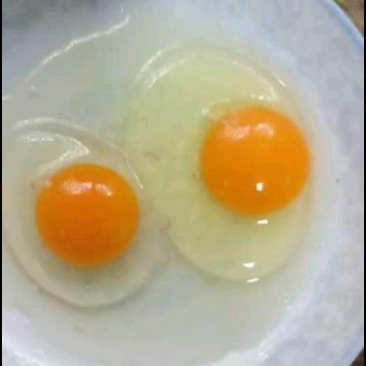 赞皇县土鸡蛋