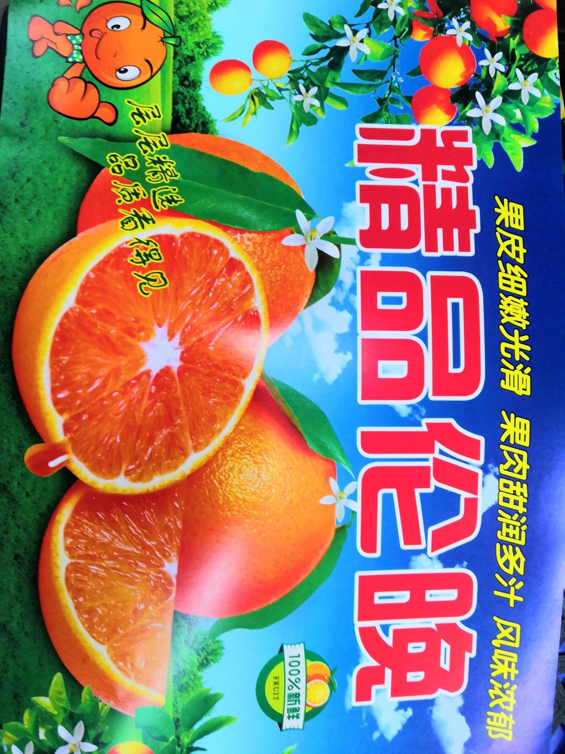 伦晚脐橙/伦晚春橙/中华红红橙纯甜爆汁 产地一手货源无中间商