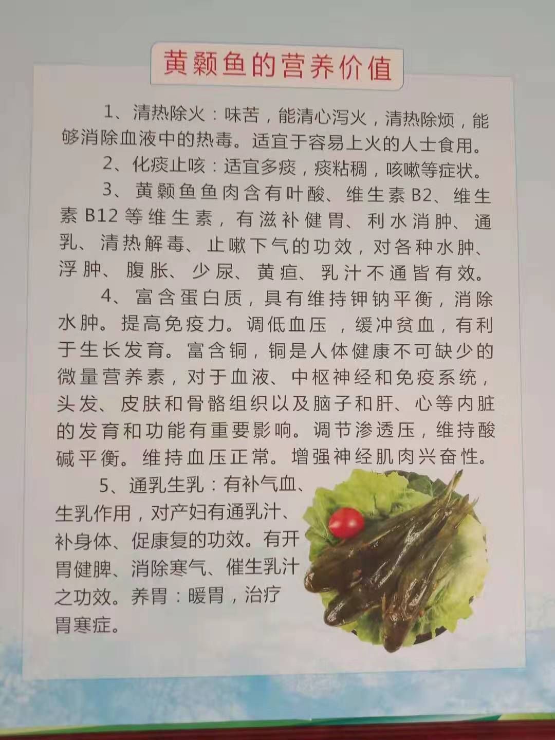  黄骨鱼苗  黄颡鱼批发 改良大品种 长势快