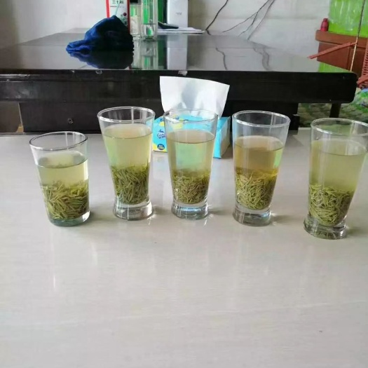 光山县毛尖茶  信阳毛尖明前茶大苏山