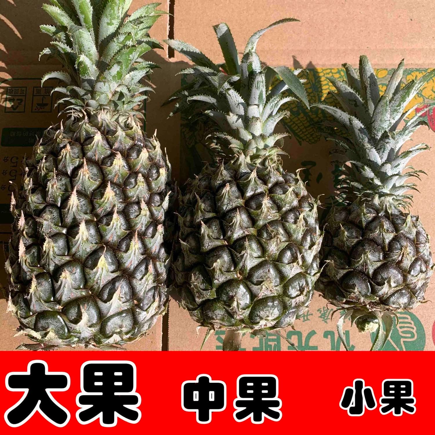香水小菠萝5/10斤当季新鲜水果热带小菠萝多汁多规格整箱包邮