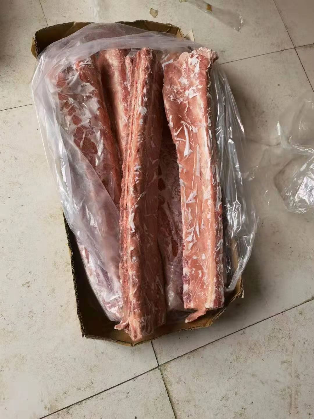 白龙齿 单边龙骨