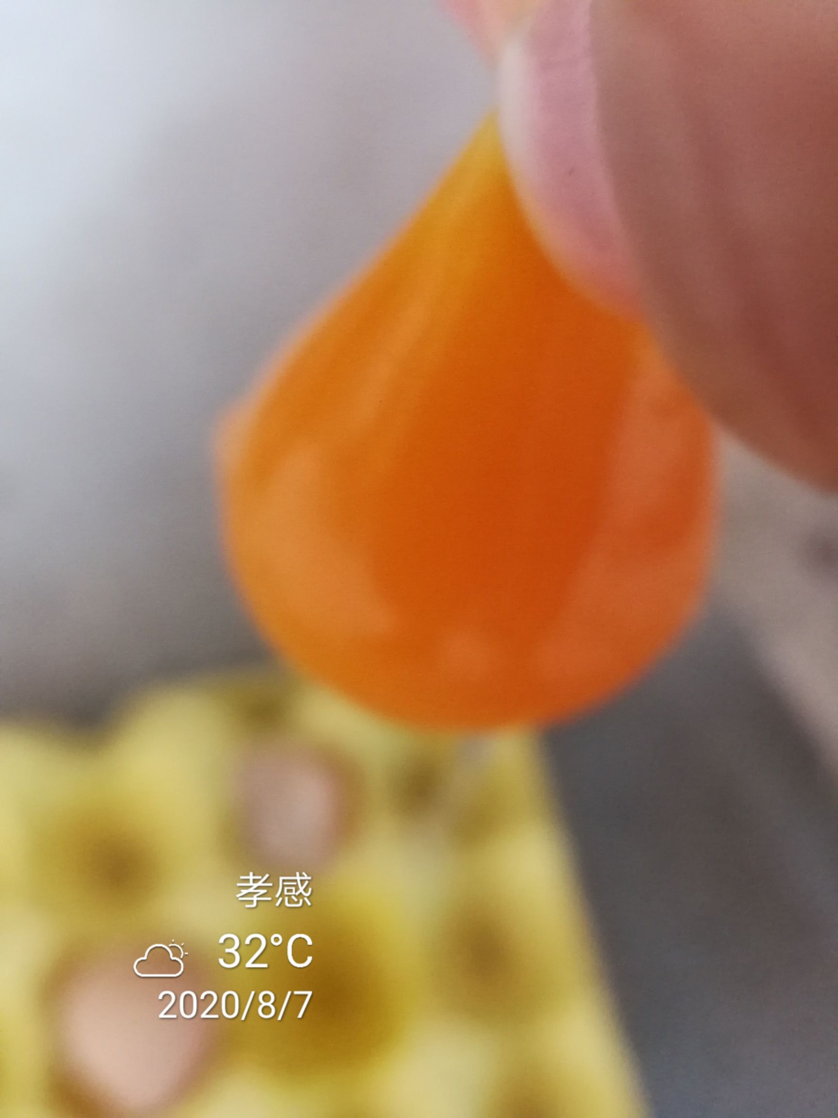 粉壳蛋  大龙五龙二鸡场直销武汉市发整车包破损