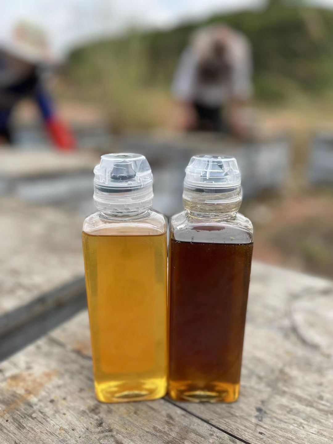  龙眼蜜 蜂蜜 非荔枝蜜鸭脚木蜜椴树蜜洋槐蜜枇杷蜜桂花蜜