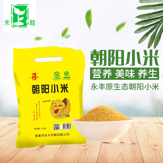 北票市东北朝阳小米，地标绿色食品