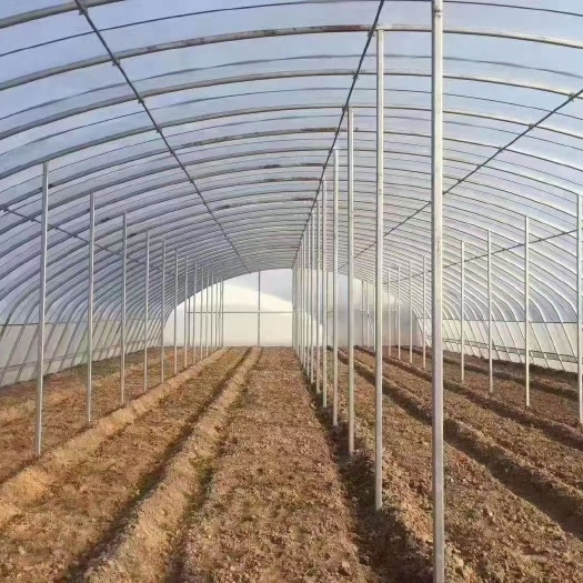 沭阳县大棚配件 温室大棚种植蔬菜养殖家禽连栋棚