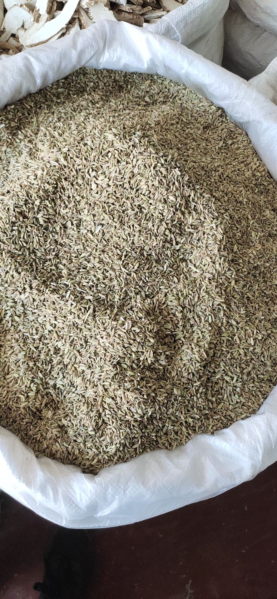 孜然调料干货烧烤孜然一手货源