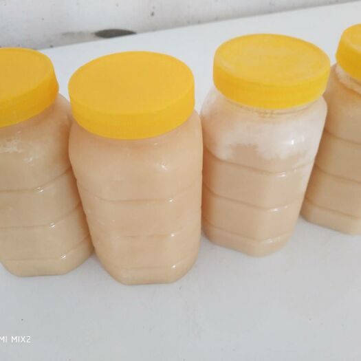 惠东县鸭脚木蜜  自家纯正鸭脚木冬蜜（雪蜜），可零售批发，欢迎大家来电咨询。