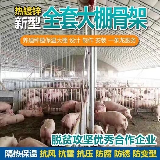 沭阳县 养殖大棚全套大棚骨架家用温室种植棚专业养鸡棚羊棚牛棚养猪大棚