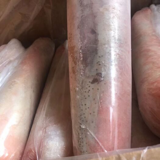 阳信县 牛舌 小牛舌