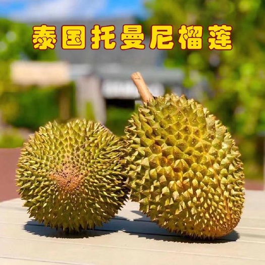 昆明托曼尼榴莲 榴莲中的爱马仕—托曼尼