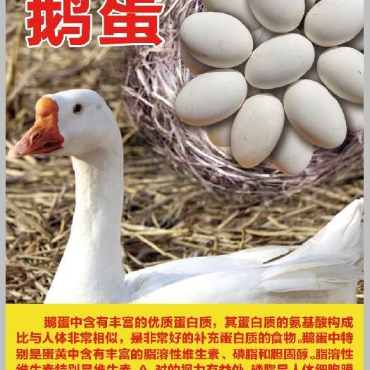 郴州土鹅蛋 食用 箱装