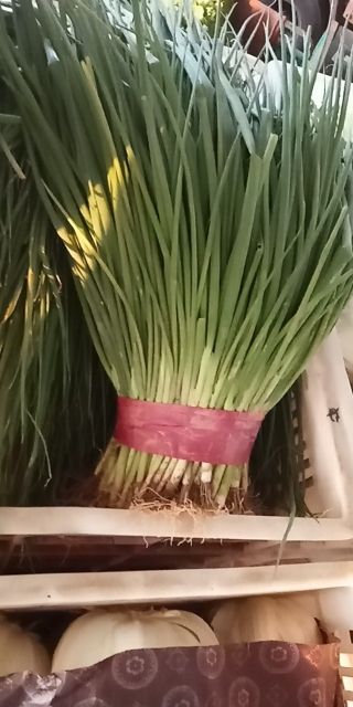香葱