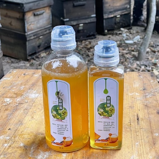 高州市荔枝蜜 蜂蜜 非龙眼蜜鸭脚木蜜椴树蜜百花蜜洋槐蜜
