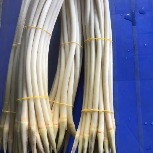 武汉新鲜藕带热销中（越南藕带）