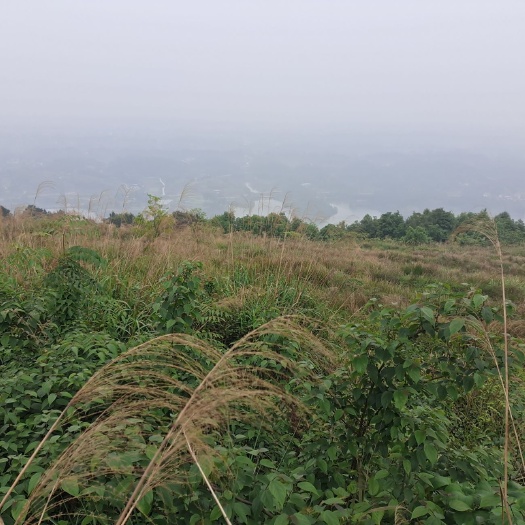 重庆市荒地 旅游，民宿类建设用地