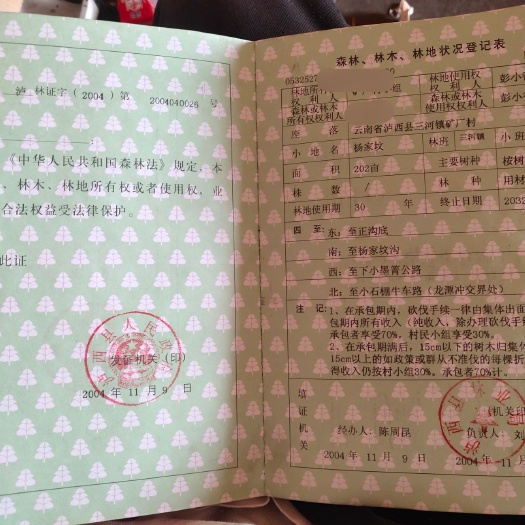 泸西县荒地  林地。连同林权证一起转让，8万块。林权证上有10年。