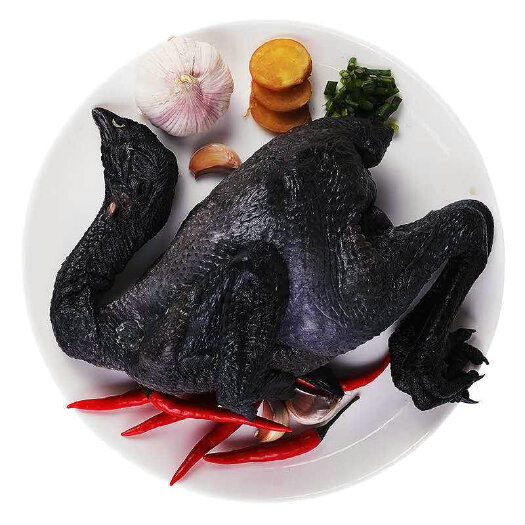 广州白羽乌鸡  乌骨鸡，炖汤美味，现宰竹丝鸡。
