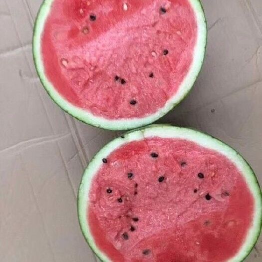 蒲城县蒲城甜王西瓜代发全国