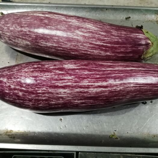 杭州花茄子