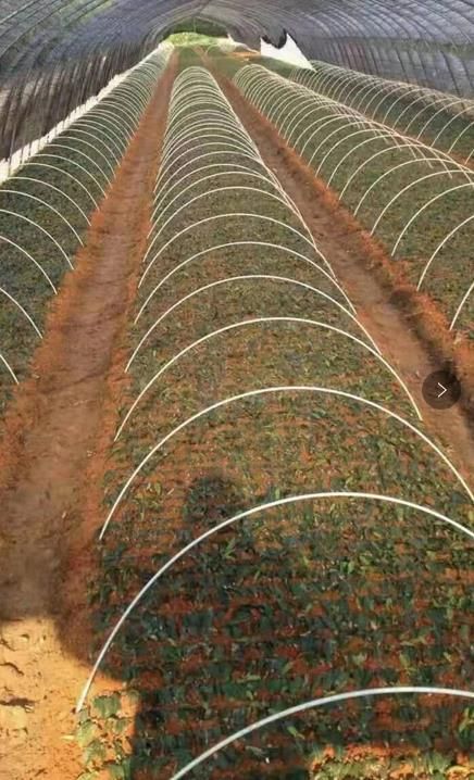 小拱棚桿 大棚骨架  大棚 種植拱棚桿地拱玻璃纖維小拱棚支架