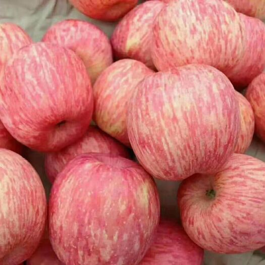 沂水县红富士苹果，支持全国各地发货