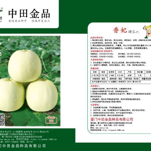 厦门白玉甜瓜种子  中田香妃薄皮甜瓜种子