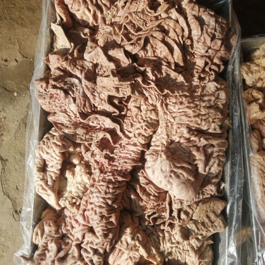 凤台县牛散带.牛散肚.国产纯干 无油无冰 出称高 熟度高