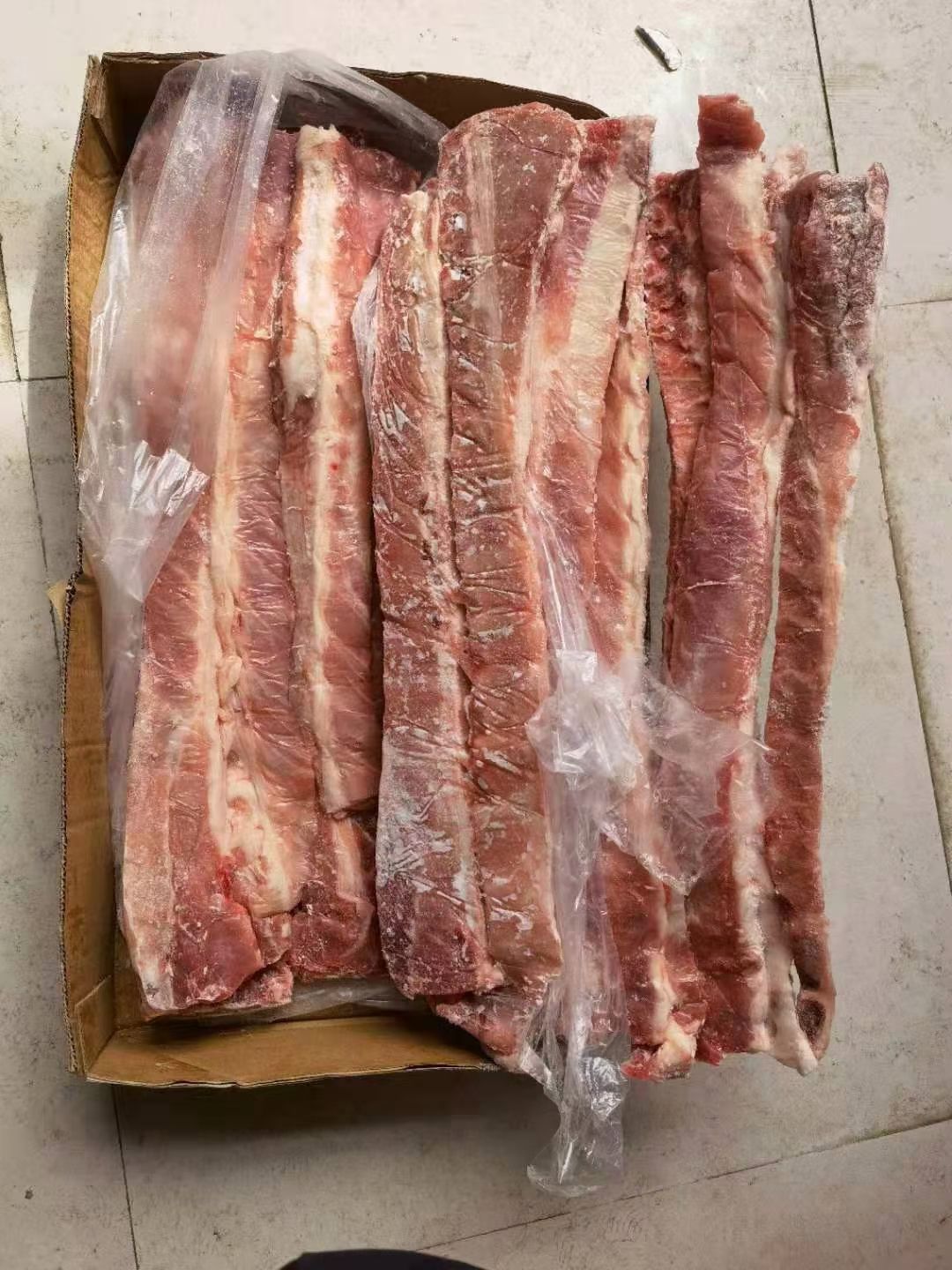 白龙齿 单边龙骨