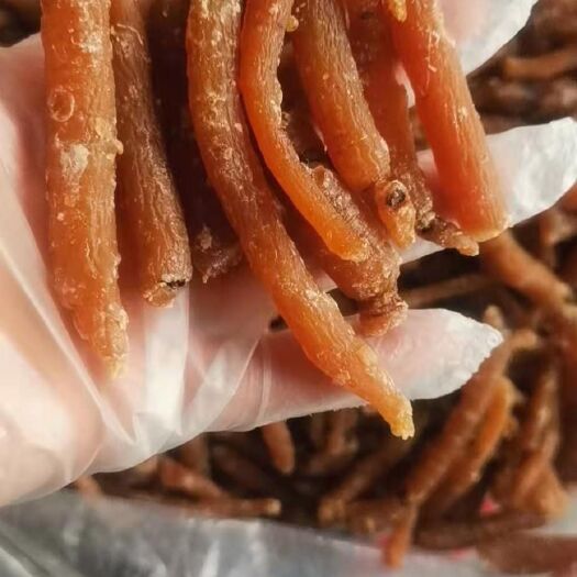 聚优惠】长白山即食小红参 参丁腿 开袋即食红参人参红参棒