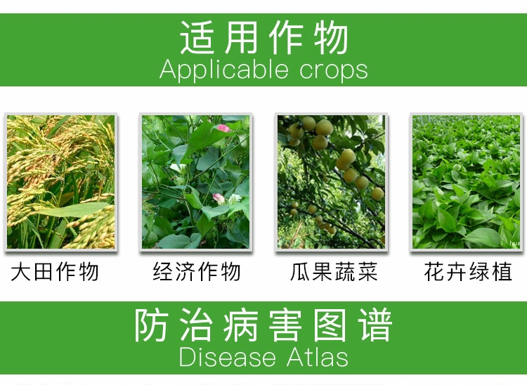 沪联蓝润75%百菌清花卉番茄疫病霜霉病叶斑病杀菌剂1000克
