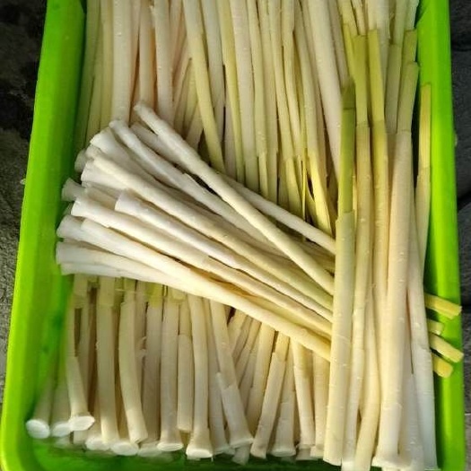 颍上县 蒲菜