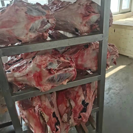 东阿县大量供应东阿阿胶旗下品牌黑驴王子驴头生鲜