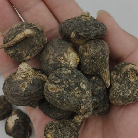 乐清市玛咖  玛卡